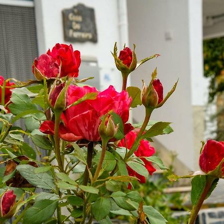 Góis Casa Do Ferreiroヴィラ エクステリア 写真